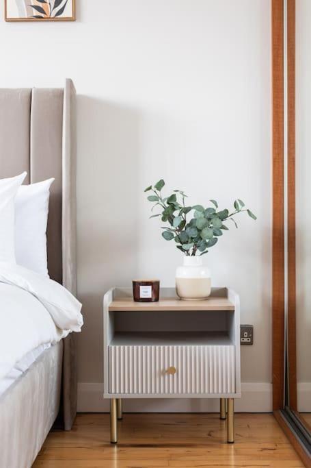 Modern Penthouse Apartment 2 Bed, 2 Bath Sleeps 6 City Centre Belfast Zewnętrze zdjęcie