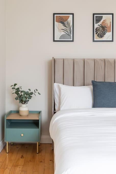 Modern Penthouse Apartment 2 Bed, 2 Bath Sleeps 6 City Centre Belfast Zewnętrze zdjęcie