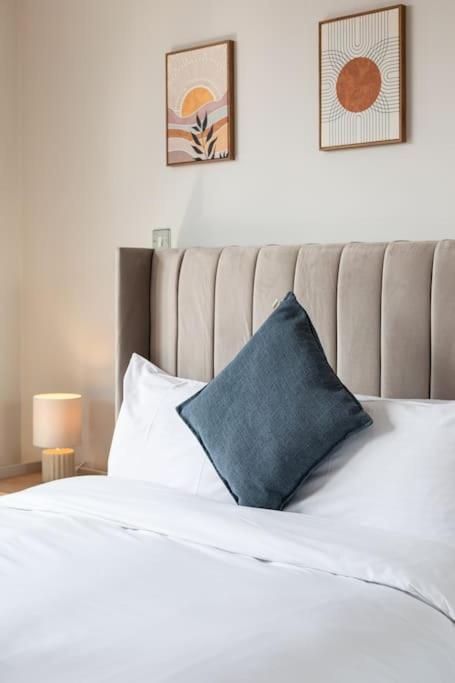 Modern Penthouse Apartment 2 Bed, 2 Bath Sleeps 6 City Centre Belfast Zewnętrze zdjęcie